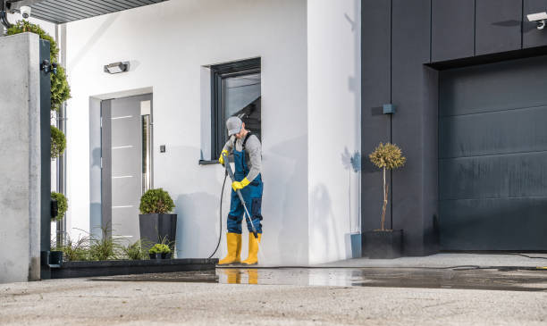 Best House Exterior Washing  in Shenandoah, VA